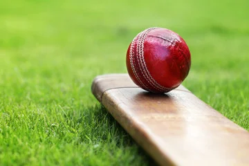 Make Memories with Resort Cricket